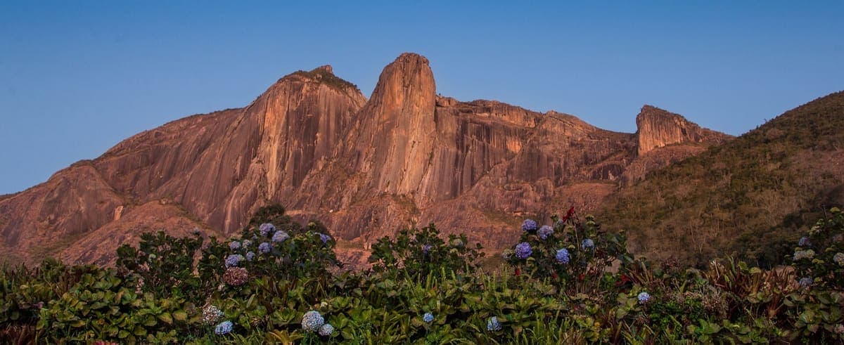 Torres de Bonsucesso avermelhadas pelo sol do fim de tarde, com hortênsias em primeiro plano
