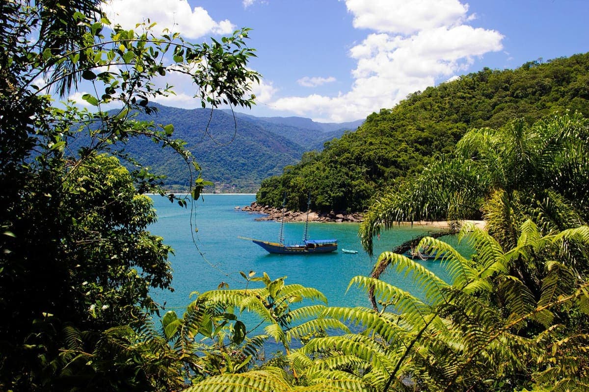 Enseada da Praia do Bonete, em Ubatuba, com água azul-turquesa e um saveiro ancorado, vista entre samambaias da trilha